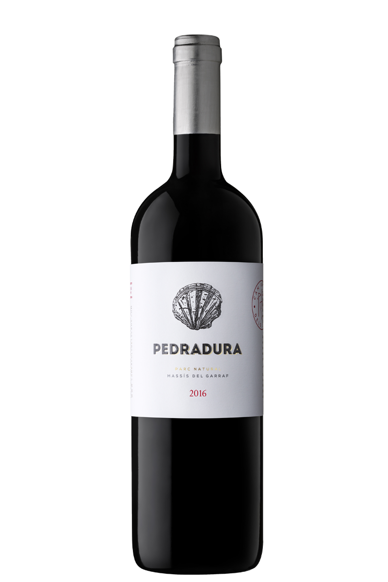Pedradura 2016